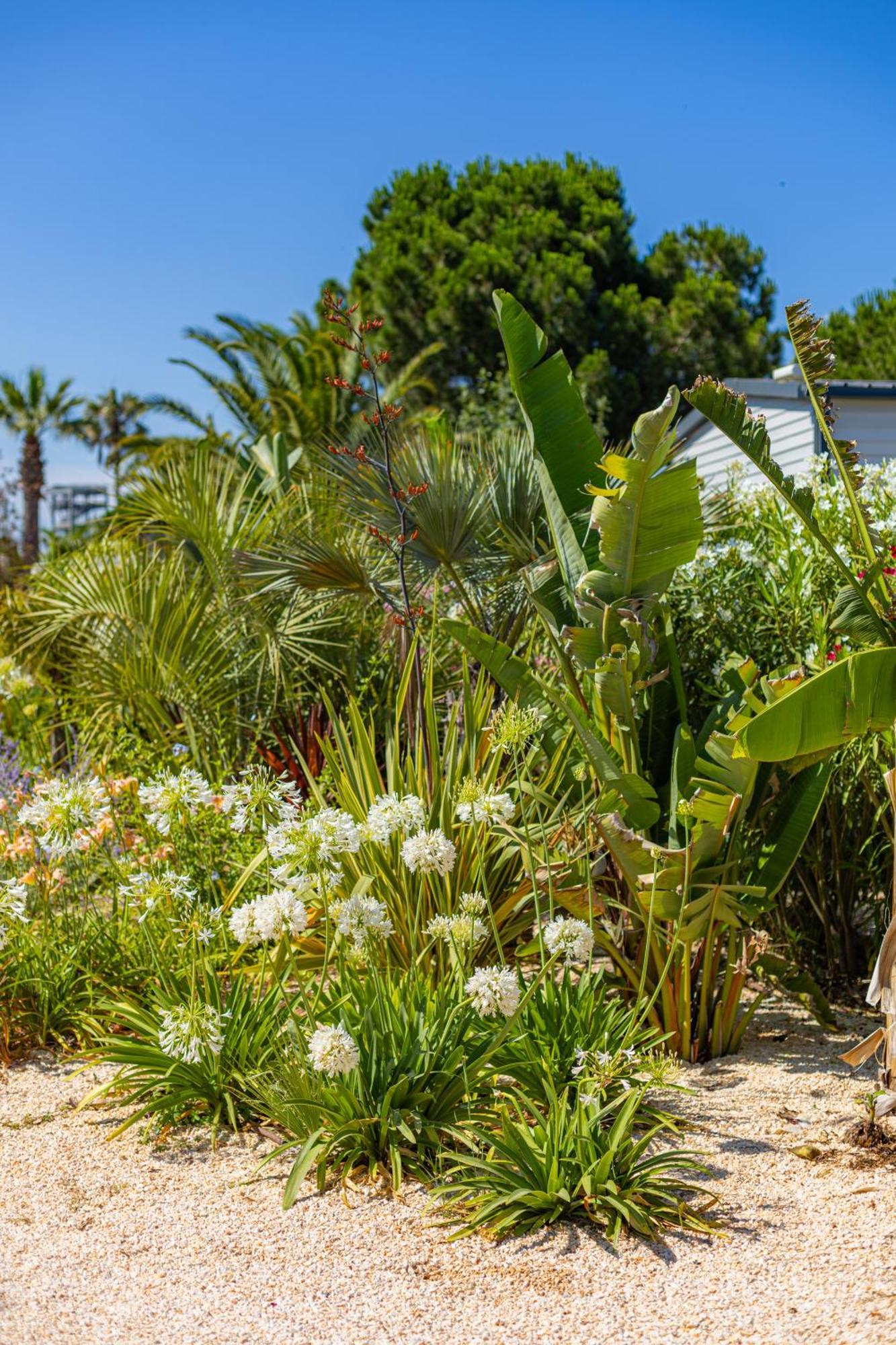 Residence Antinea Argeles-sur-Mer Bagian luar foto