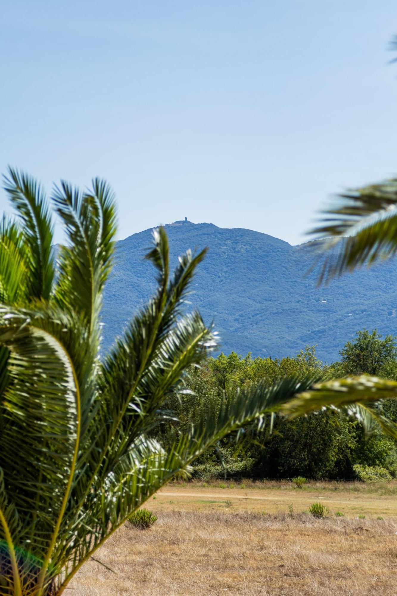 Residence Antinea Argeles-sur-Mer Bagian luar foto